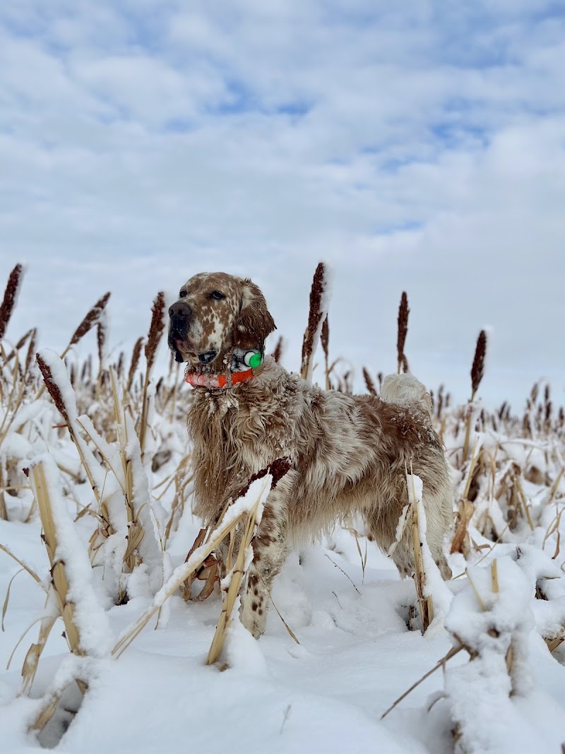 Valhalla Hunt Club & Kennels - Photo 1