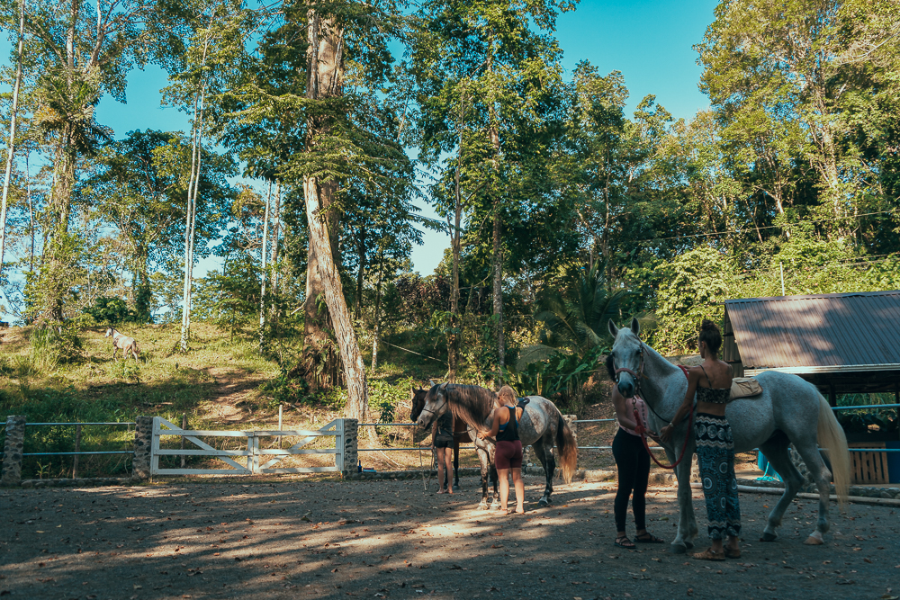 Kindred Spirits Center for Yoga & Horse Healing Arts — 3