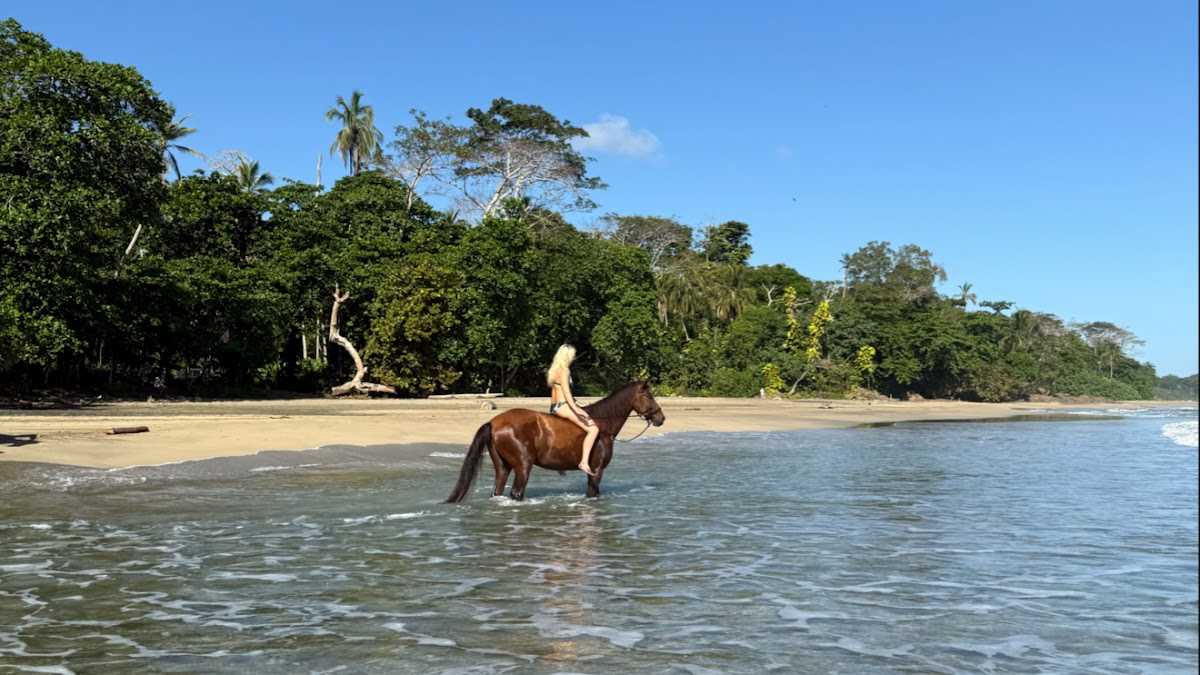 Kindred Spirits Center for Yoga & Horse Healing Arts