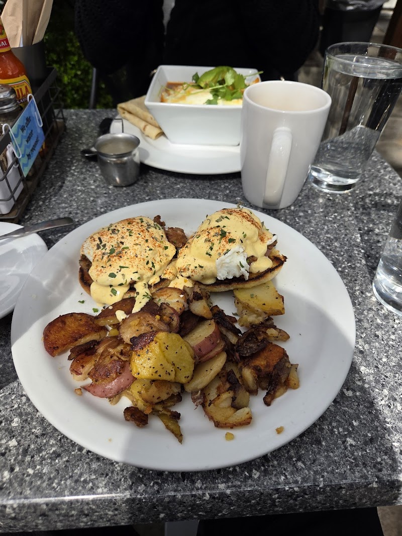 Roots Cafe photo 4