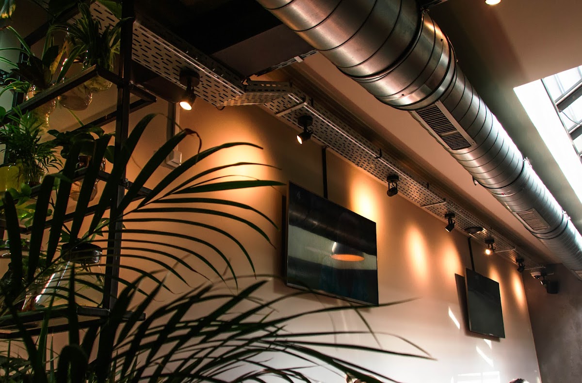 Coffeeshop Cool Running