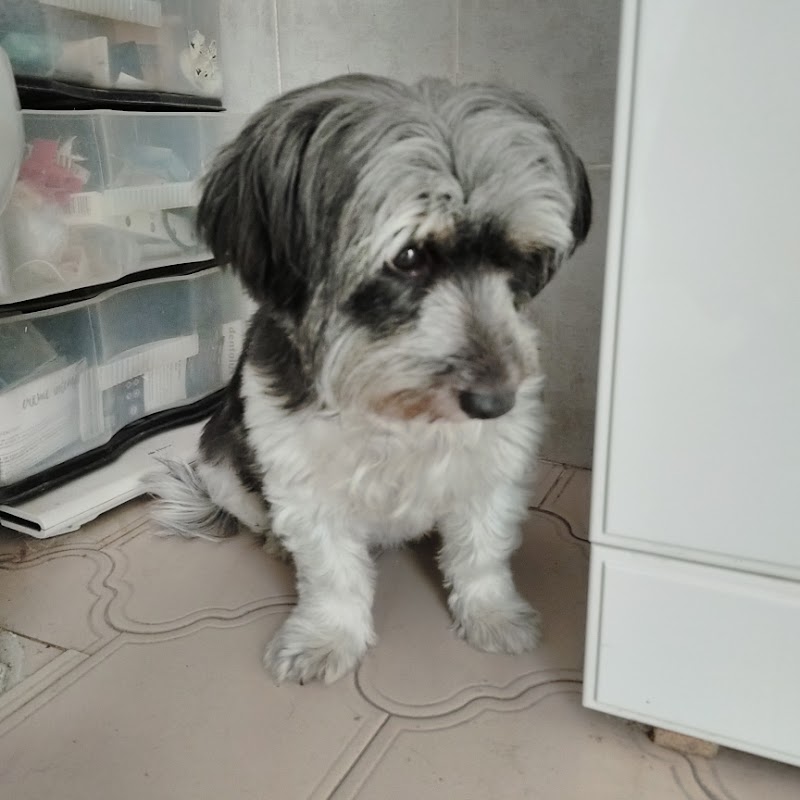 Clínica Veterinaria Torreblanca