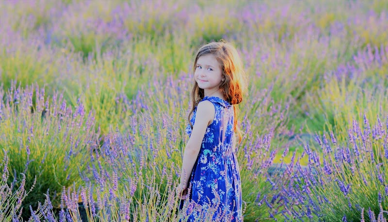 Devil's Lake Lavender photo 3