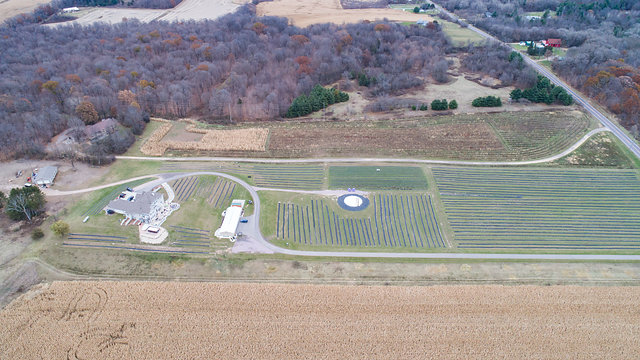 Devil's Lake Lavender photo 4