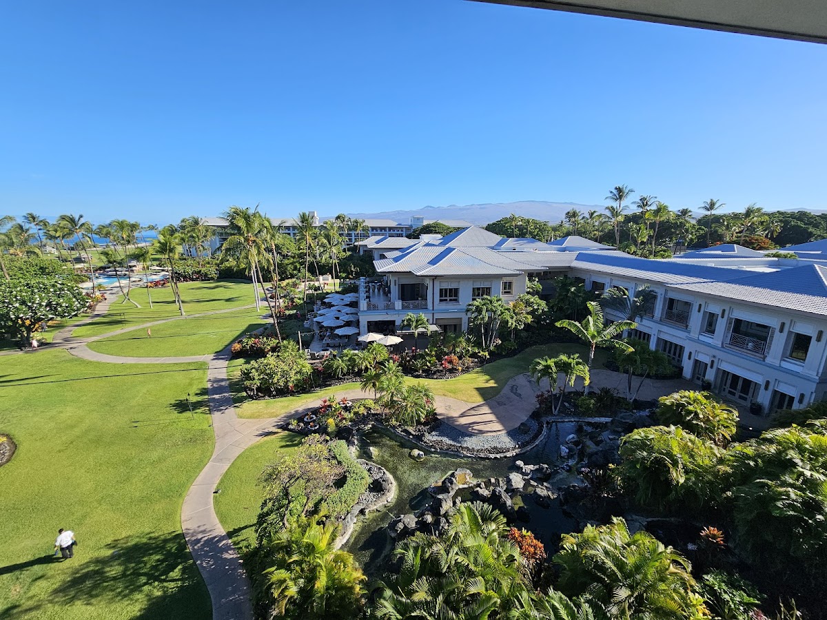 Fairmont Orchid