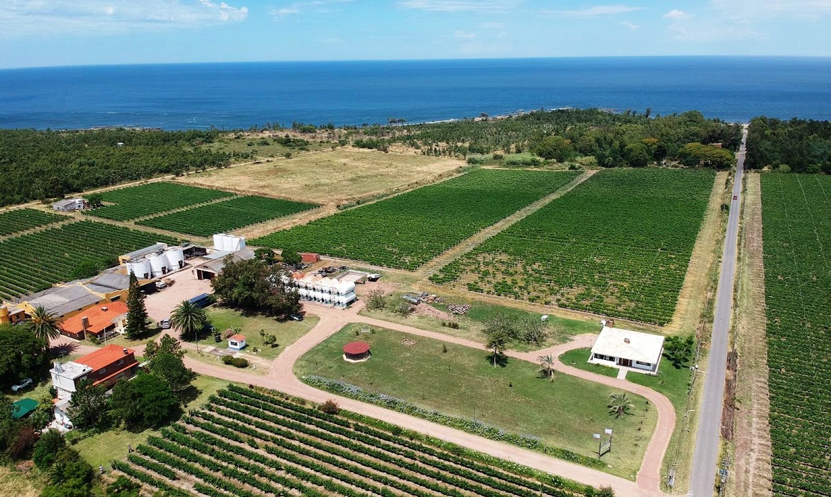 Bodega Rodriguez hnos - Wines La Estancia