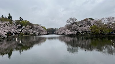 Inokashira Park - 6