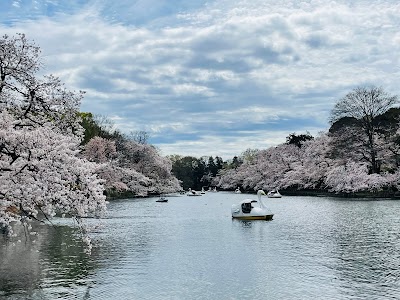 Inokashira Park - 1