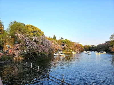 Inokashira Park - 2