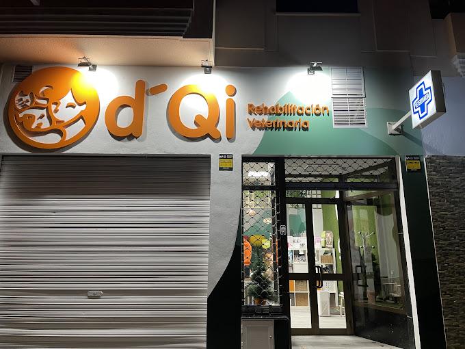 Centro Veterinario d'Qi - Rehabilitación veterinaria en Córdoba