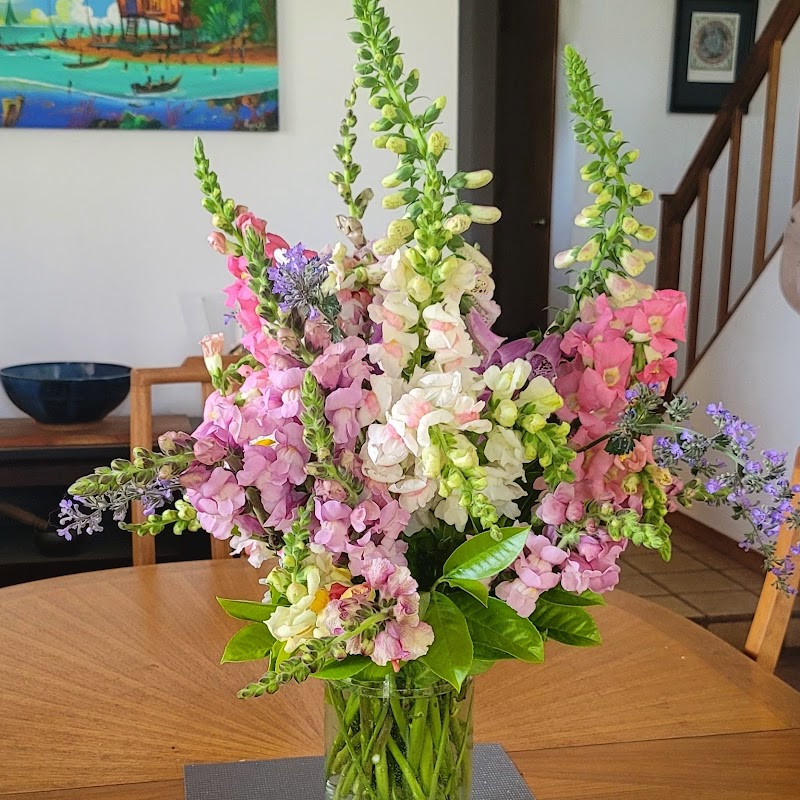 Hermoso Jardin Flower Farm