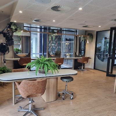 Boss Hair, Barber & Beauty