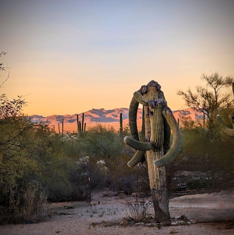 Wild Horse Ranch - Photo 4