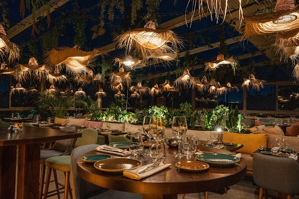 Safran by Kôya Medina