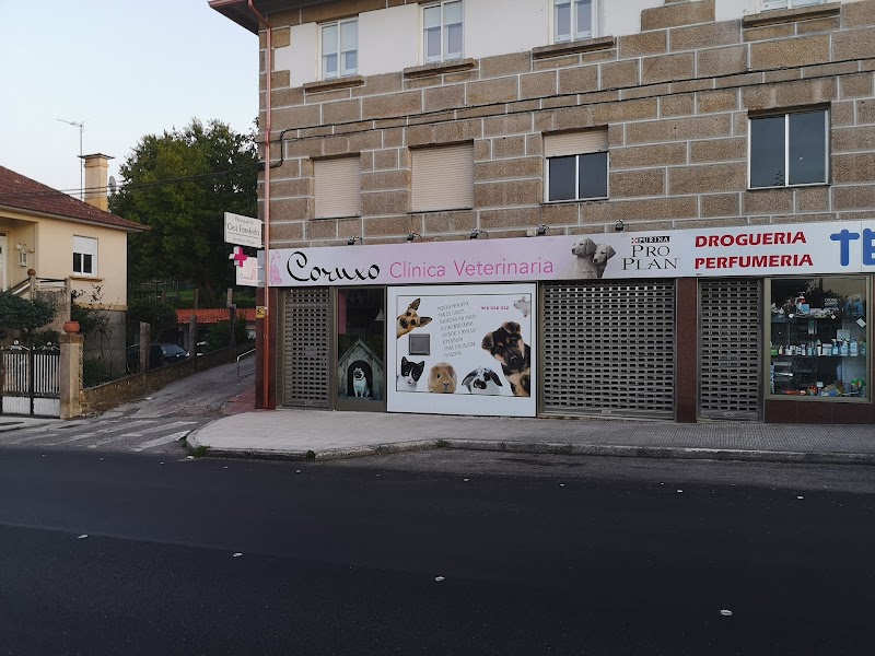 Clínica veterinaria Coruxo