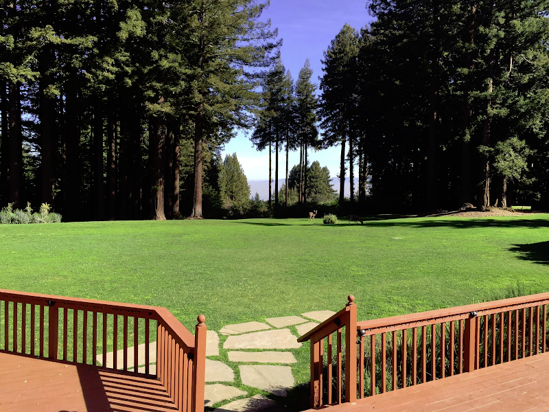 The Mountain Terrace