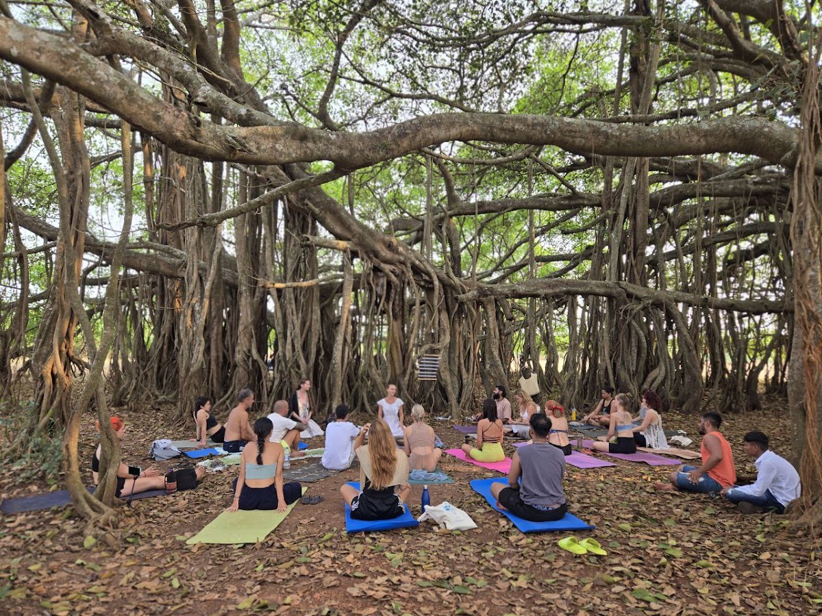 Shiva Yoga | Best Yoga Teacher Training Arambol, Goa — 3