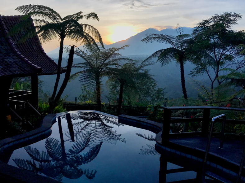 Samasthala Yoga - 200-hour Bali Yoga Teacher Training in Bali — 3