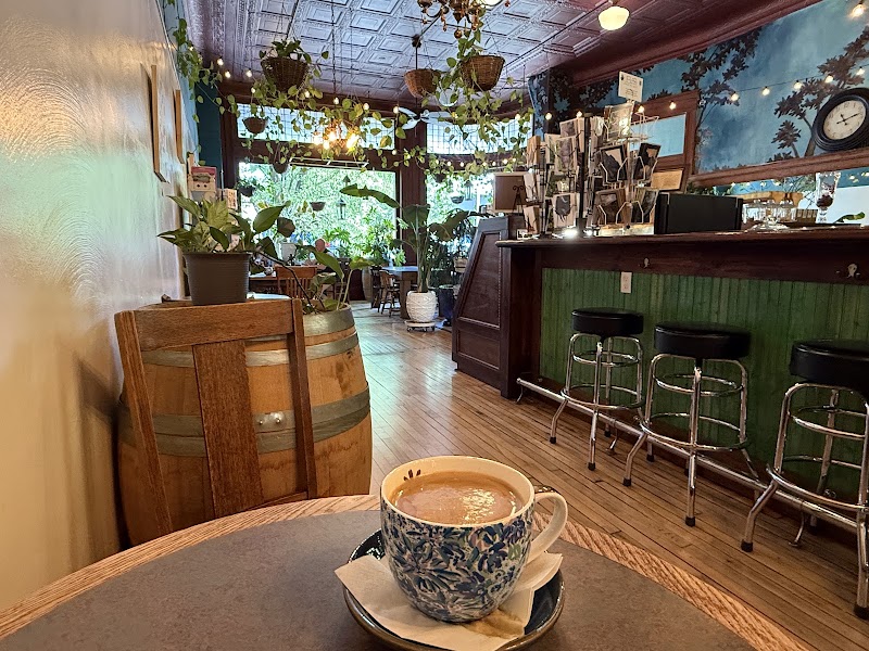 The Blue Lantern Coffee House photo 3