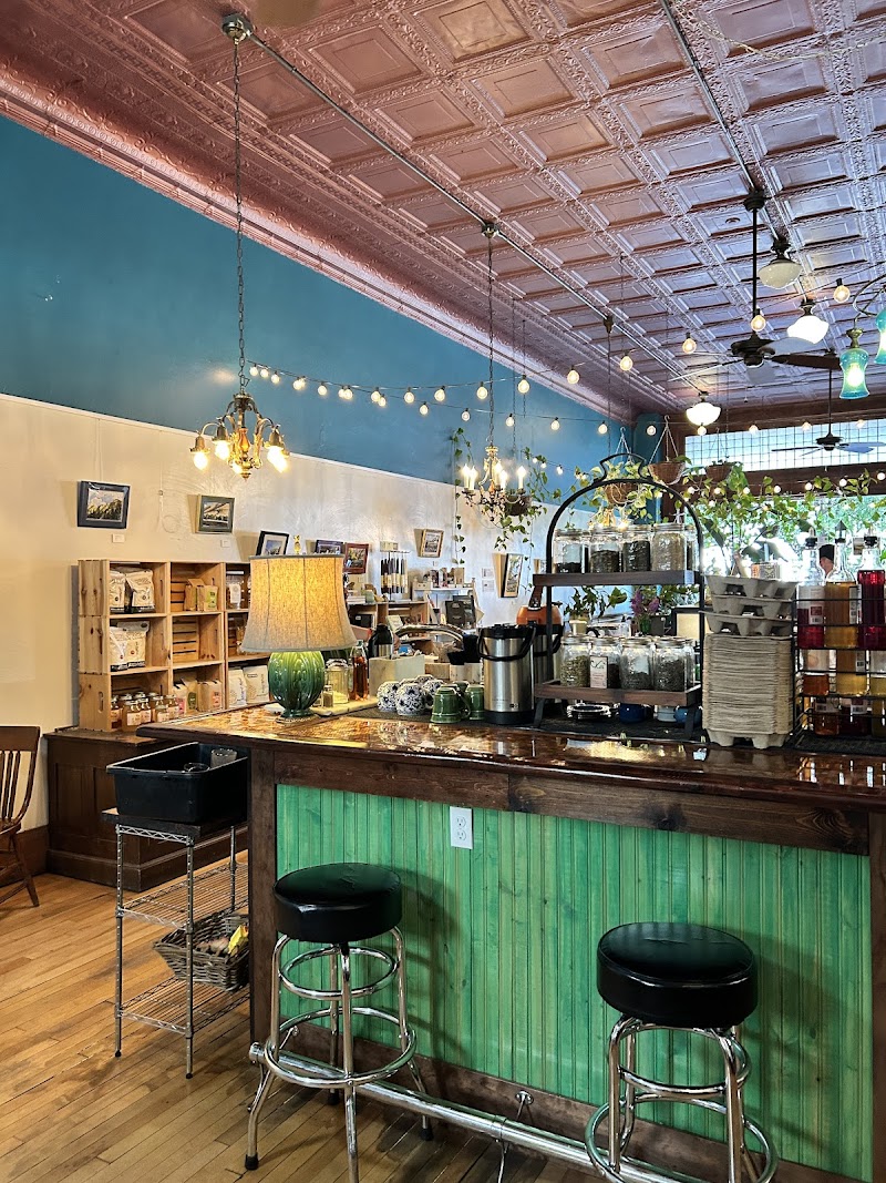 The Blue Lantern Coffee House photo 3