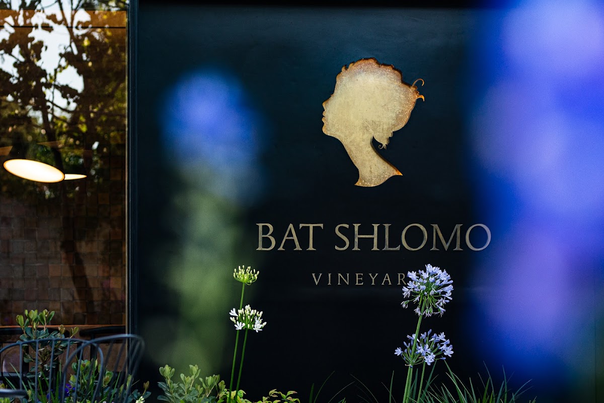 Bat Shlomo Vineyards