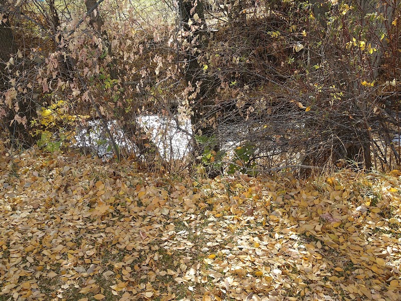 Forrester Acres Park photo 5