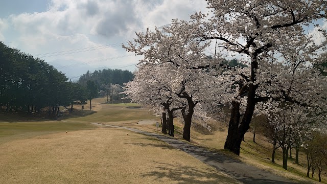 Sasagami Gozu Golf Club - Photo 5