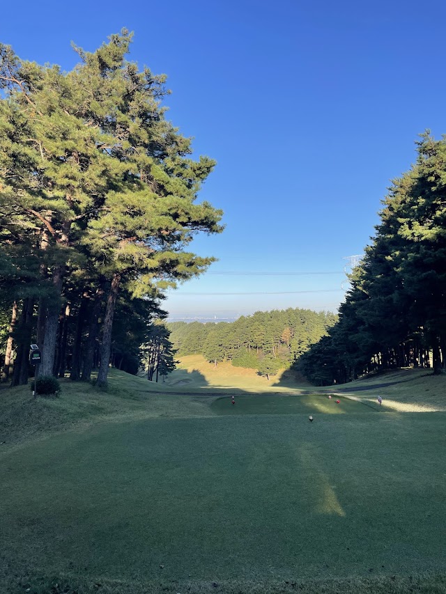 Sasagami Gozu Golf Club - Photo 8