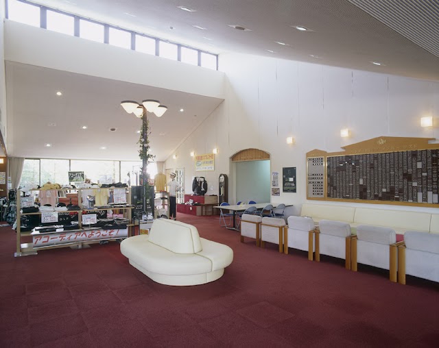 Amase Onsen Country Club - Photo 10