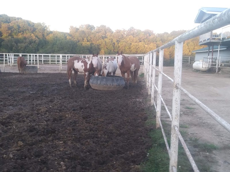 Scenic View Ranch nga kahnak - Photo 5