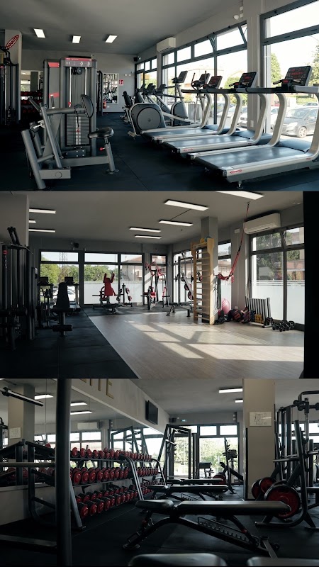 Palestra Elite Rovigo