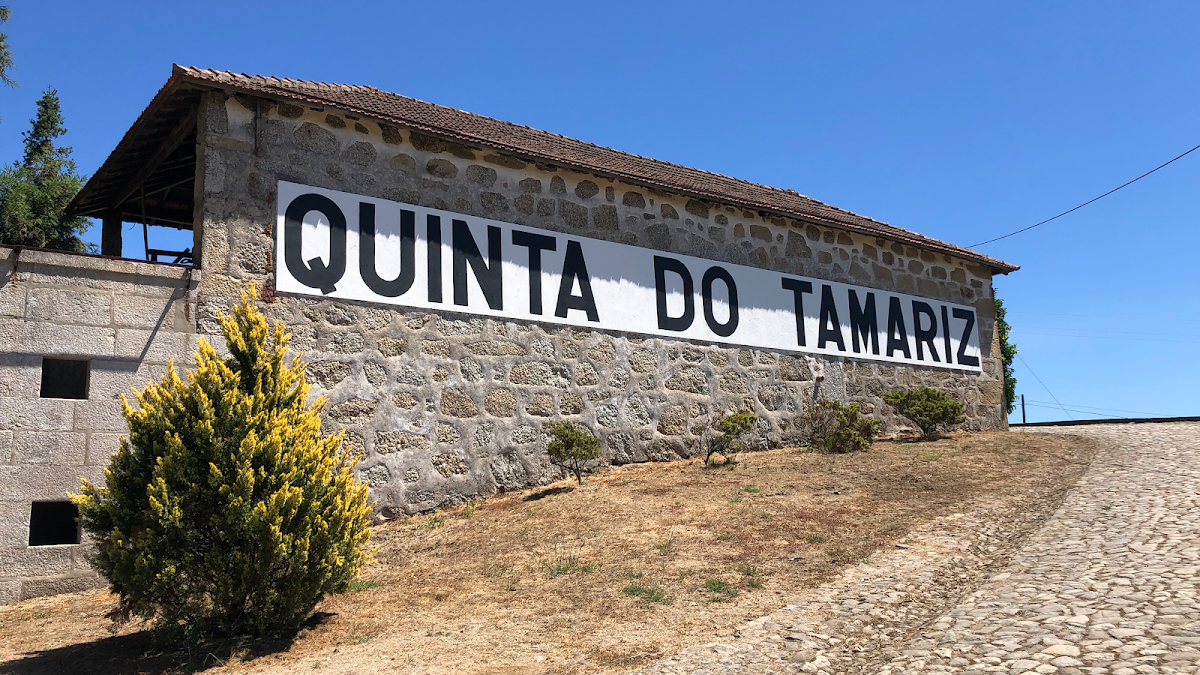 Quinta Tamariz