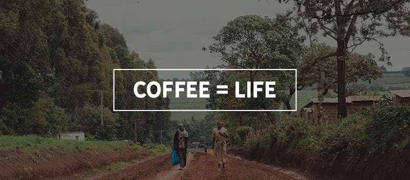 Zoe Coffee Co. photo 3