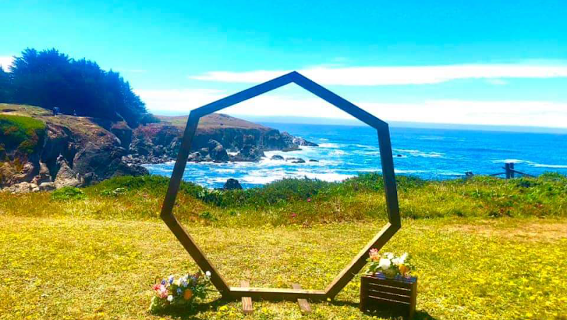 Holly's Ocean Meadow