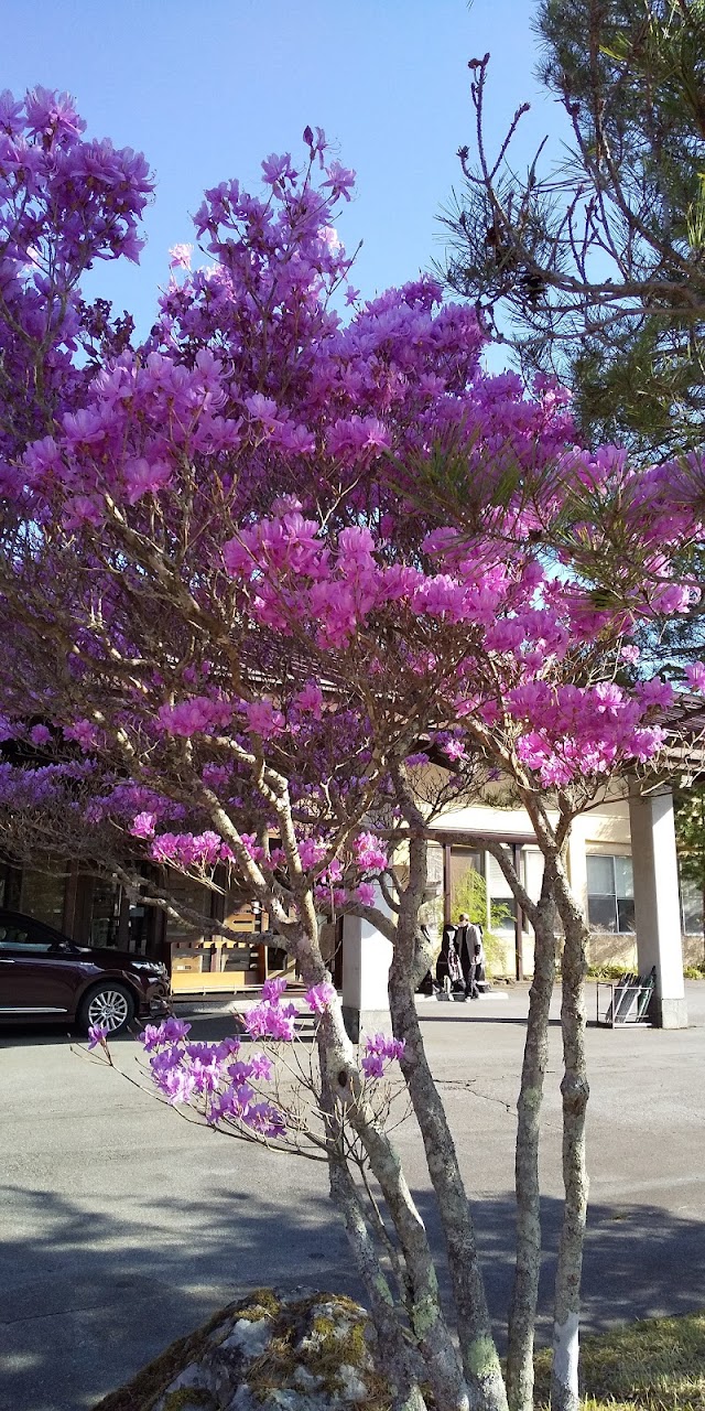 Hiraya Country Club - Photo 9