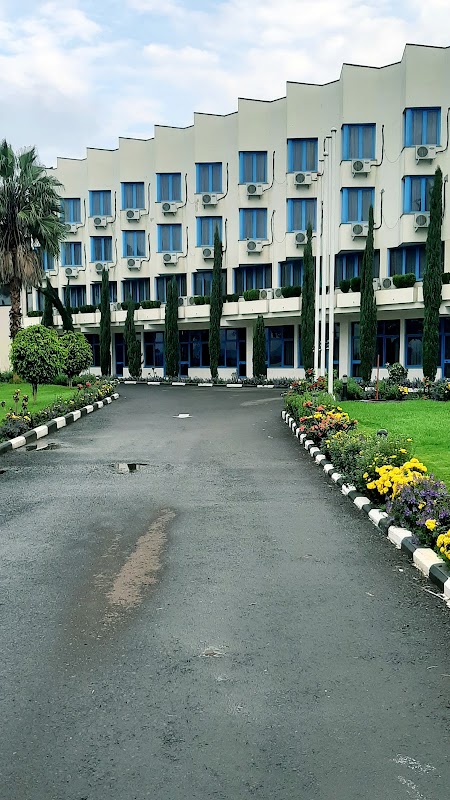 Blue Nile Hotel photo 3