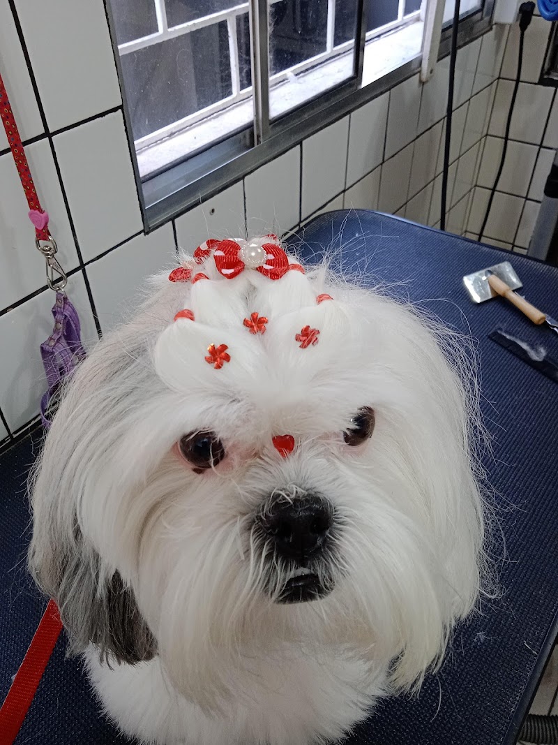 Clinica Veterinária Ecoville - foto 2