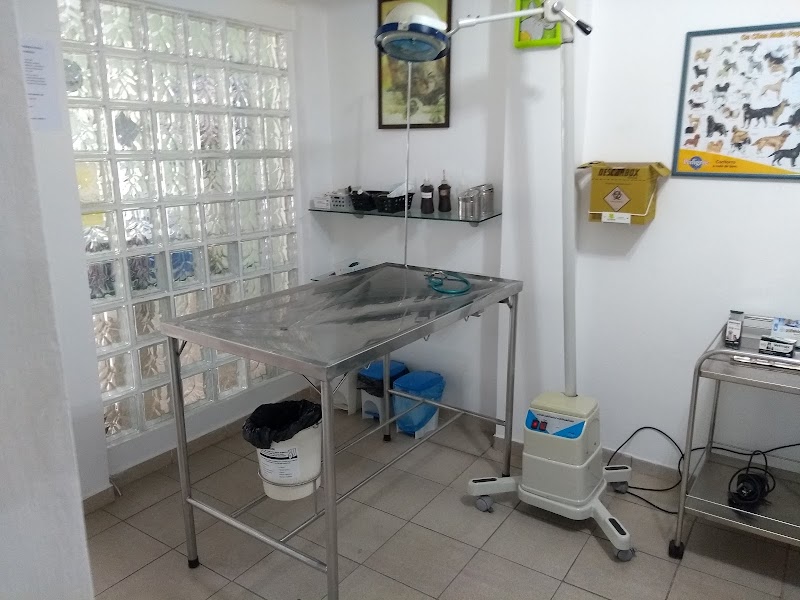 Clinica Veterinária Ecoville - foto 3