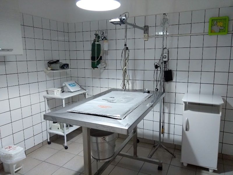 Clinica Veterinária Ecoville - foto 1