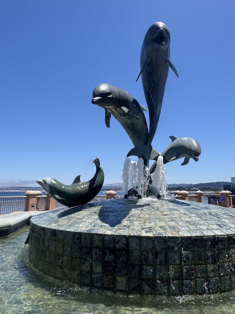 Tidal Coffee photo 4