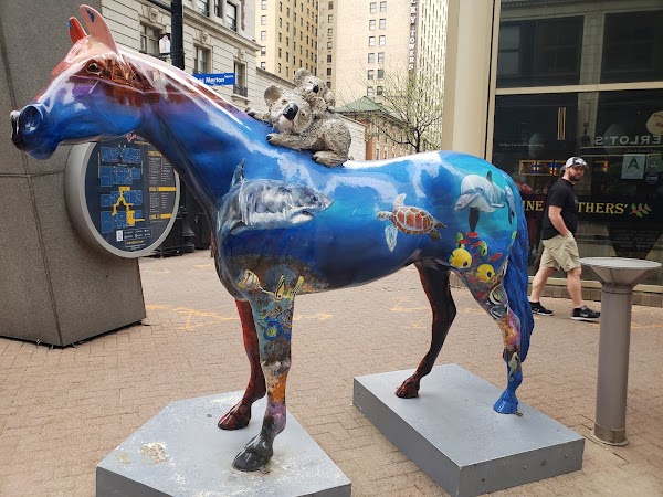 Photo by Amy Bohannon