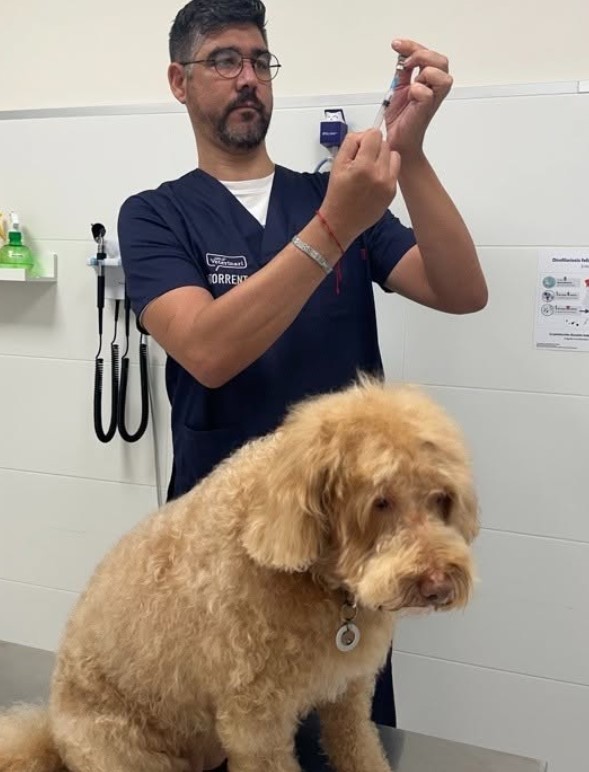 Clínica Veterinaria Munic72