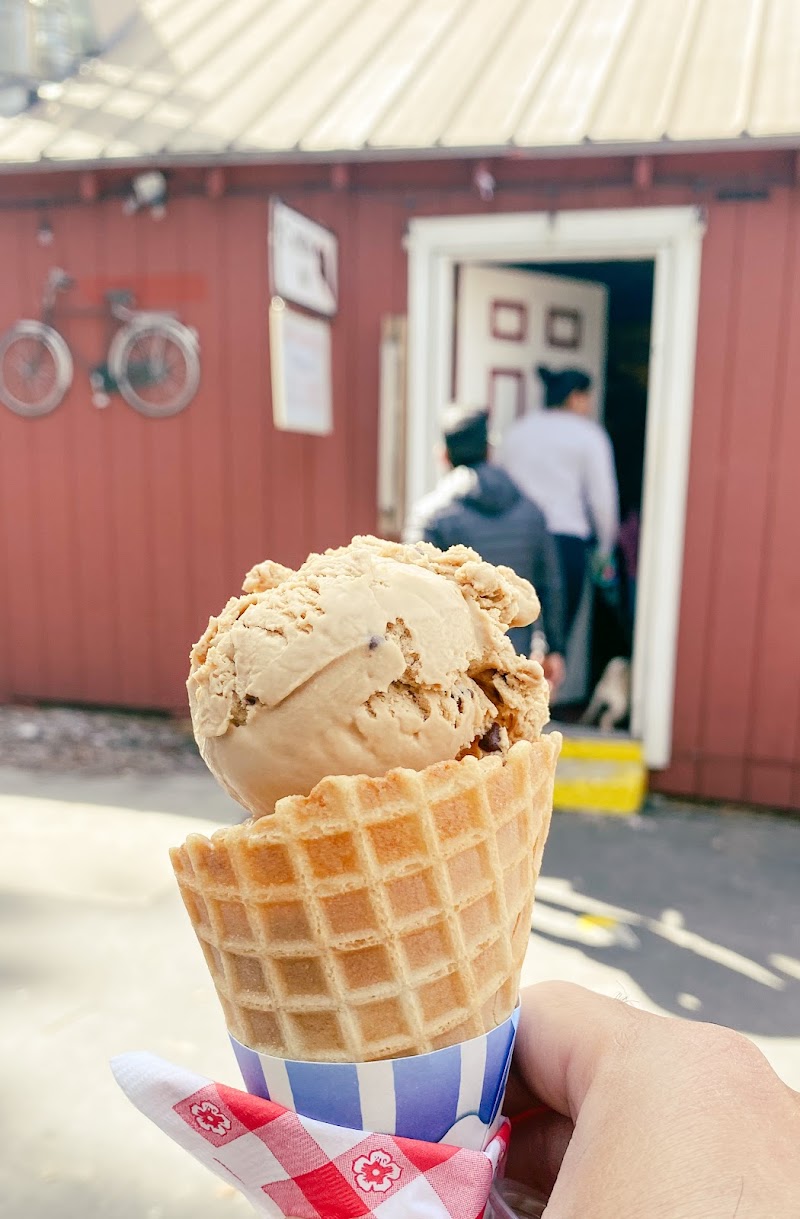 Sweet Tahoe Time Ice Cream photo 2