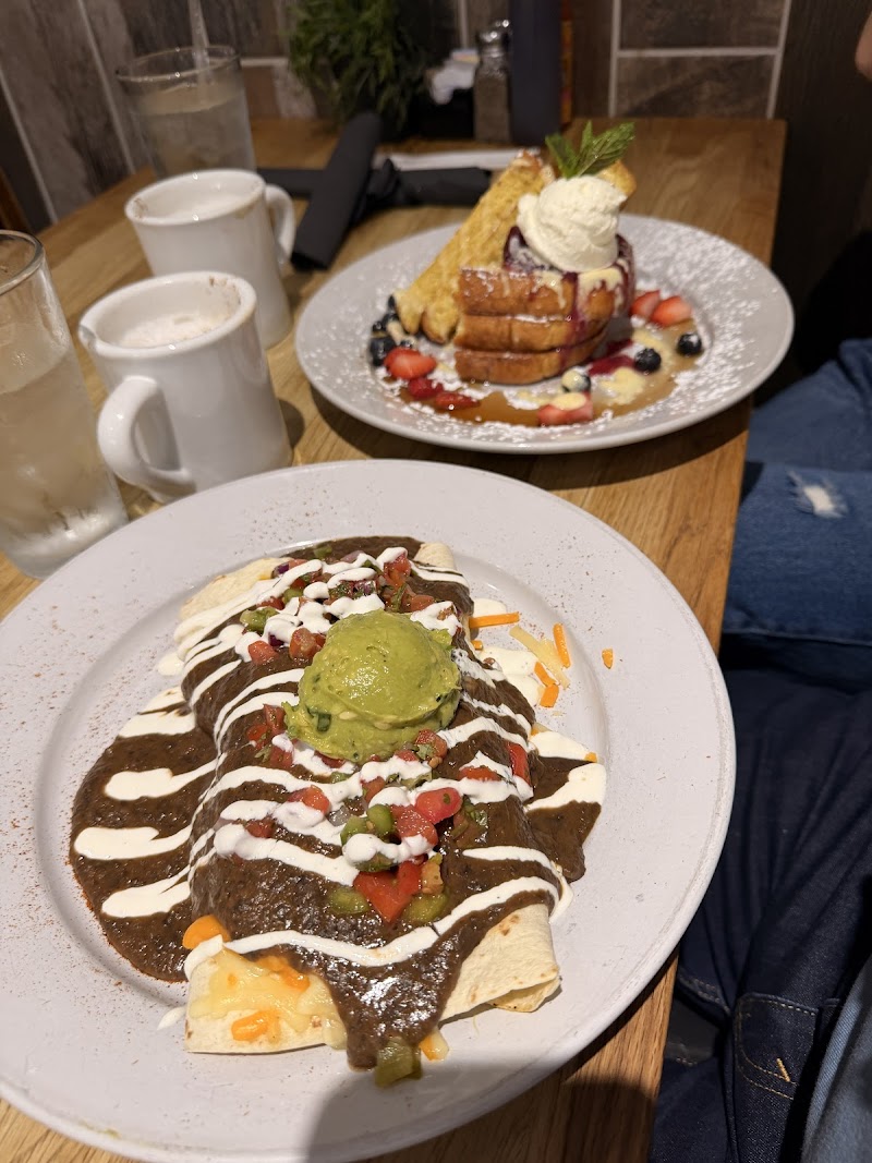 Green Eggs Café photo 3