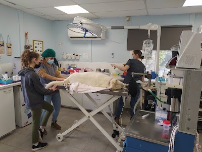 ד"ר שירלי מאור, מרפאה וטרינרית