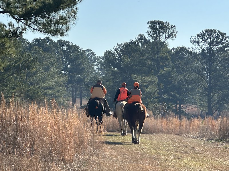Shenandoah Plantation - Photo 4