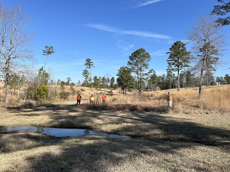 Shenandoah Plantation - Photo 3