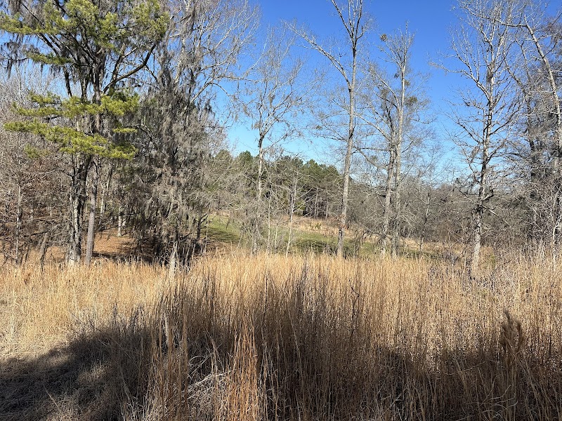 Shenandoah Plantation - Photo 1