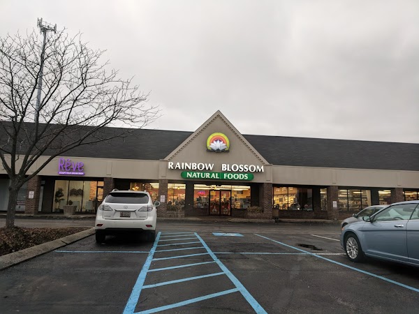 Photo by Big Fat Art Cat