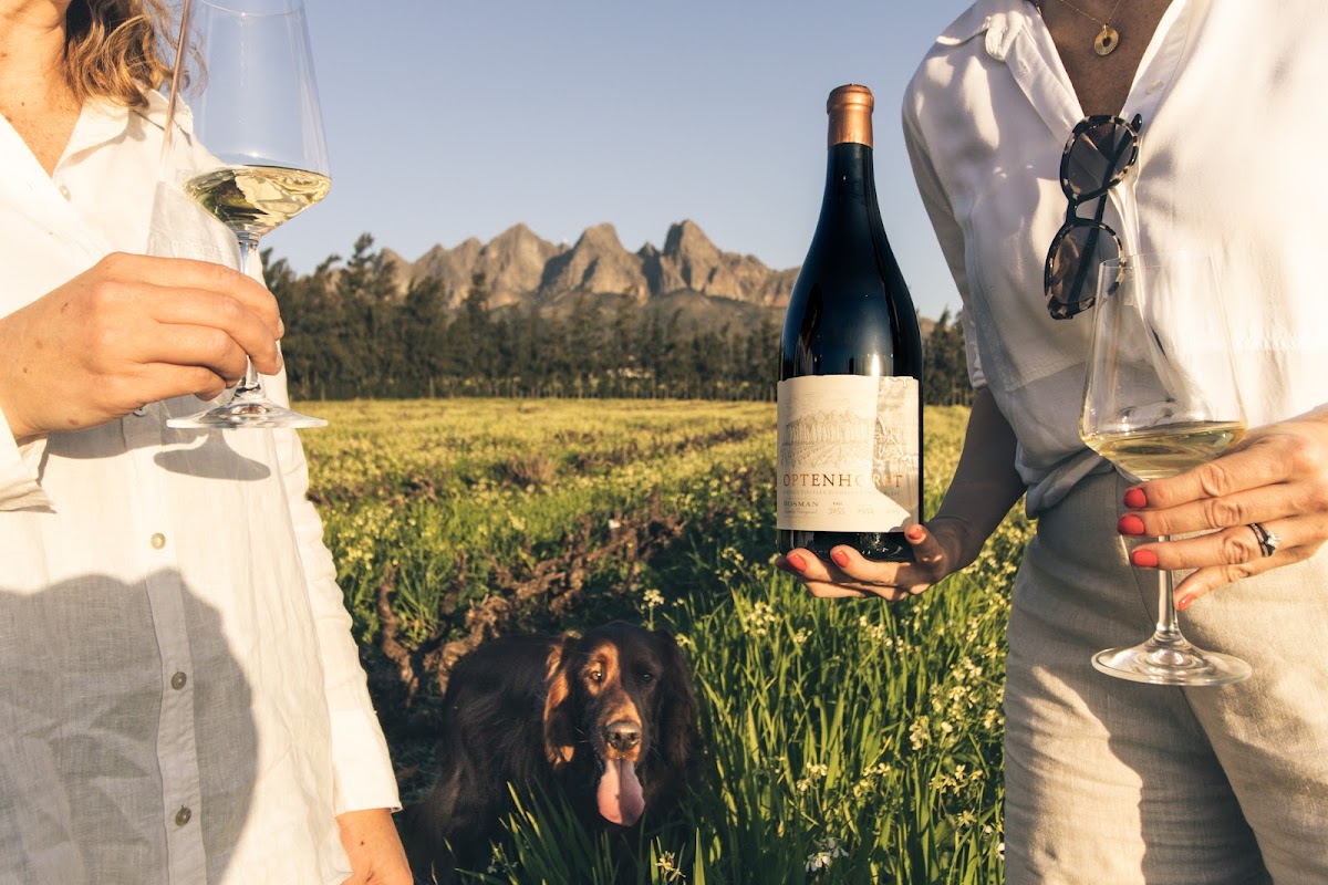 Bosman Family Vineyards, Lelienfontein Farm, Wellington, South Africa